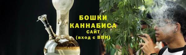 PSILOCYBIN Аркадак