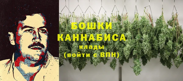 ешки Арсеньев