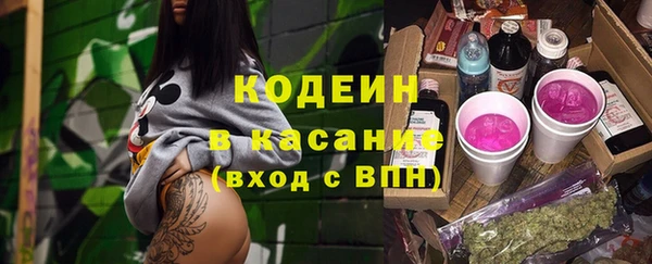 ешки Арсеньев
